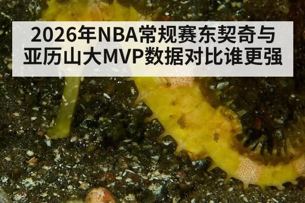 2026年NBA常规赛东契奇与亚历山大MVP数据对比谁更强 | c7